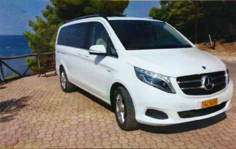 Mercedes Van Viano